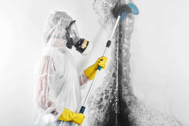 Best Indoor Air Quality Assessment  in Point Pleasant, WV