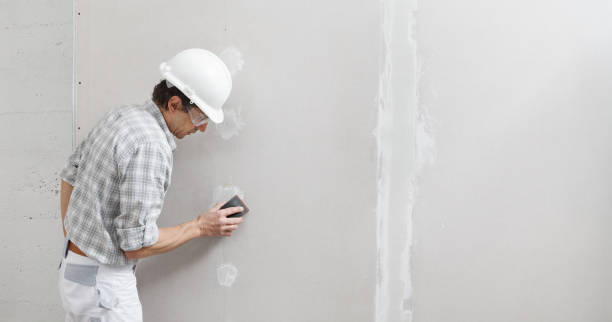 Best Real Estate Mold Inspection  in Point Pleasant, WV