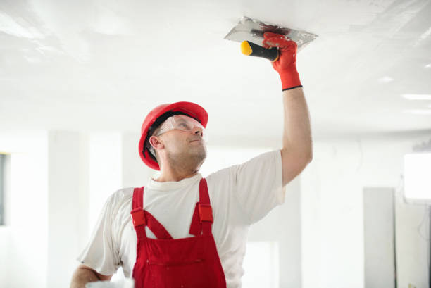 Best Black Mold Removal  in Point Pleasant, WV