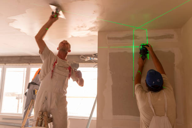 Best Emergency Mold Remediation  in Point Pleasant, WV