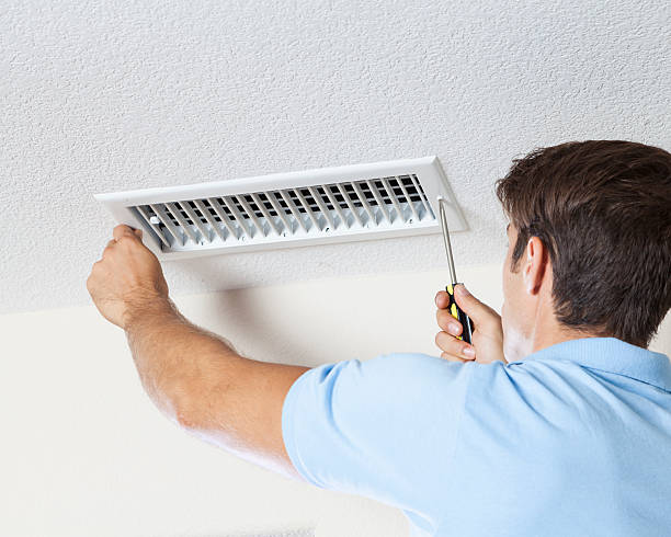 Best Mold Removal for HVAC Installations  in Point Pleasant, WV