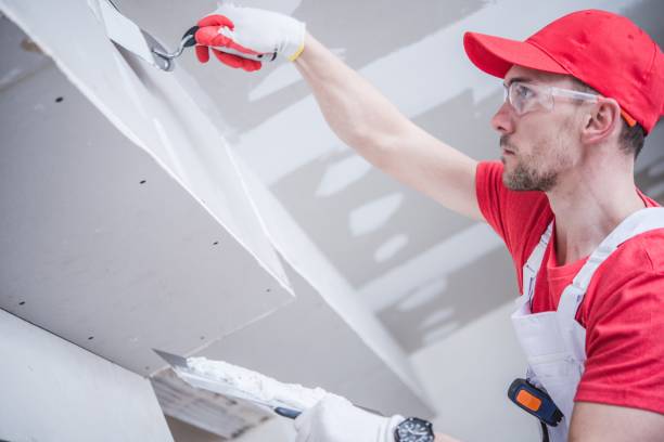 Best Dehumidification Services  in Point Pleasant, WV