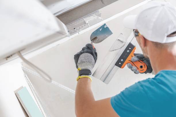 Best Mold Documentation for Insurance Claims  in Point Pleasant, WV